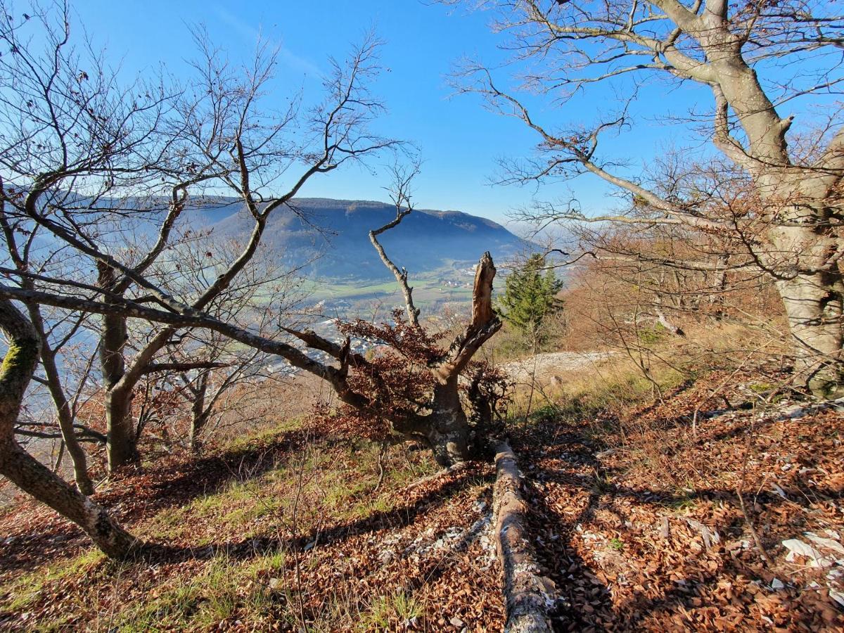 Quiet Business Flat Or Vacation Home In Bad Urach Bagian luar foto