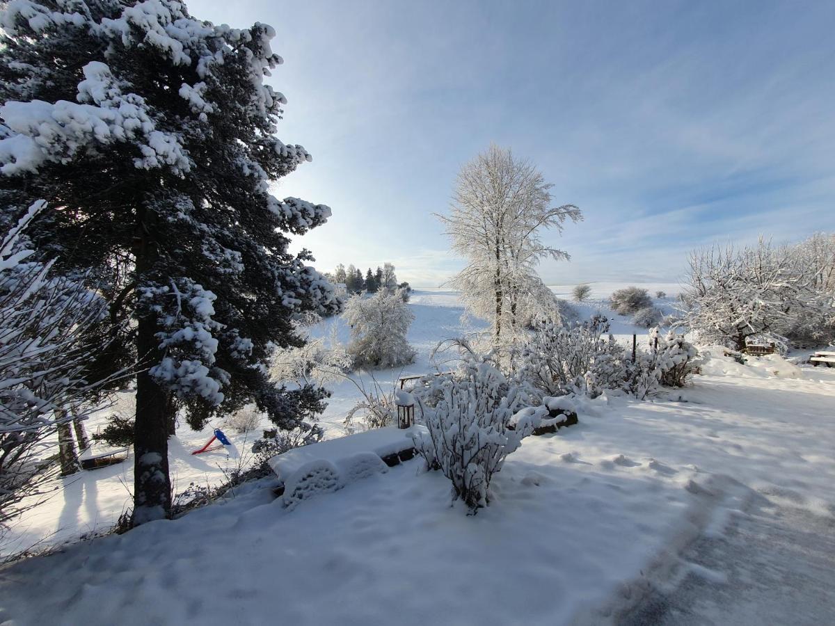 Quiet Business Flat Or Vacation Home In Bad Urach Bagian luar foto