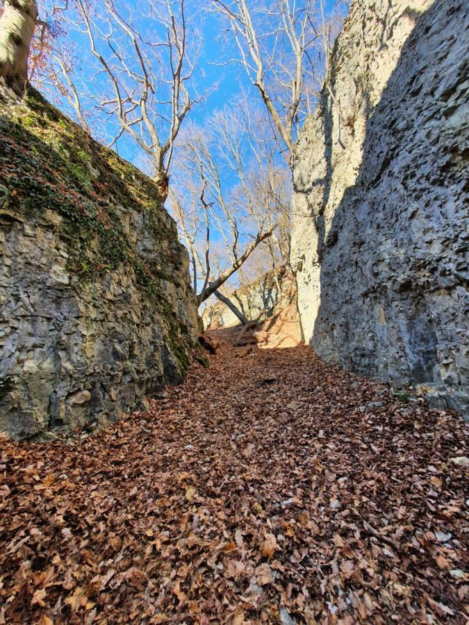 Quiet Business Flat Or Vacation Home In Bad Urach Bagian luar foto